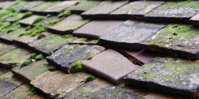 Laurencekirk roof repair costs